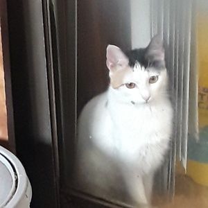 Meet your Posher, Jeannie